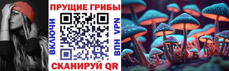 Псилоцибиновые грибы Psilocybe Купить закладки Чердынь