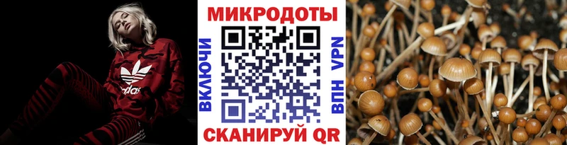 Псилоцибиновые грибы мухоморы Чердынь